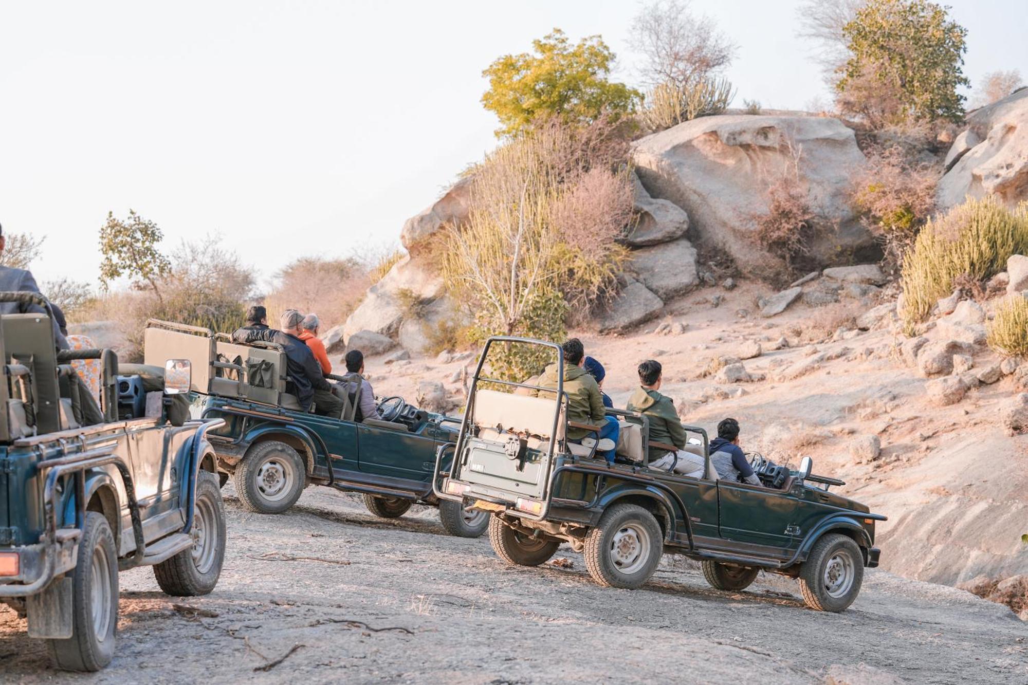 Jawai Wildlife Safari Camp Panzió Nana Kültér fotó